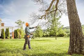 Best Storm Damage Tree Cleanup  in Fairbanks Ranch, CA
